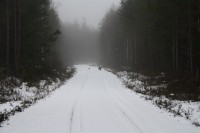 IMG_3540.JPG