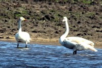 IMG_3358a.jpg