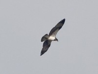 IMG_9638.JPG