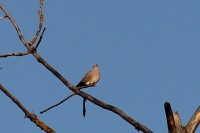 IMG_3386.jpg