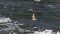 IMG_4144.jpg