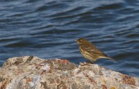 IMG_4150.jpg