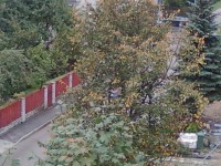 Nuotrauka0542.jpg