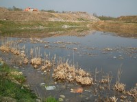 DSCF1977_1.jpg