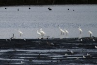 abIMG_3489.jpg