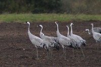 abIMG_3300.jpg