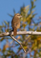 IMG_7642.jpg