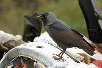 IMG_0658_1024.jpg