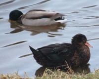 IMG_1254.jpg