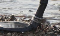 em598.jpg