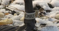 em823.jpg