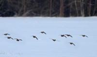 abIMG_7890.jpg