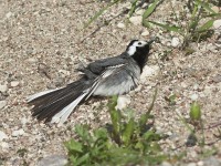 IMG_3478.JPG