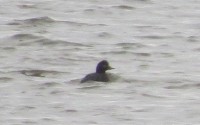 fjhgjf.jpg