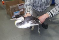 20130213_091628.jpg