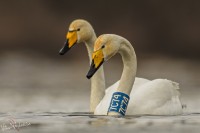 DSC_9811_frm.jpg