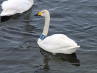 IMG_0800r.jpg