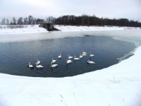 IMG_0801r.jpg