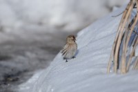 Image0004.jpg