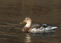 abIMG_9874.jpg