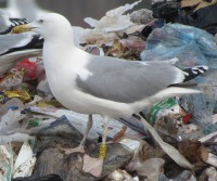 IMG_7989.jpg