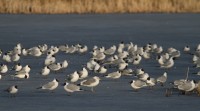 ab_IMG_0747.jpg