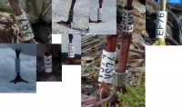 ZIEDAI 2013-04-09.jpg