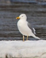 2013_04_04%20060.jpg