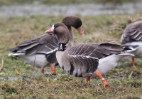 aabIMG_9182.jpg