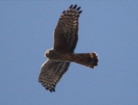 2013.04.16 186.JPG