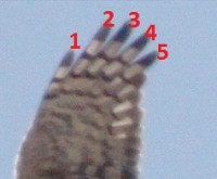 2013.04.16 186.JPG