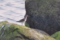 DSC_7278.JPG