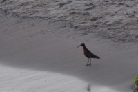 DSC_7280.jpg