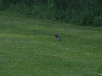 PIC_0134.JPG