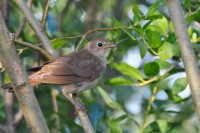 DSC_8189.jpg