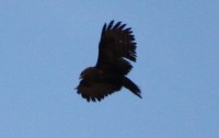 2013.04.29 011.JPG