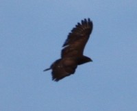 2013.04.29 009.JPG