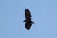 2013.04.29 006.JPG