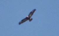 2013.04.16 193.JPG