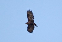 2013.04.29 006.JPG