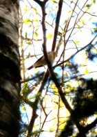 IMG_1822mm.jpg