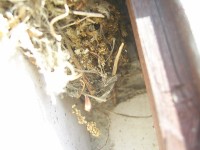 PIC_0193.JPG
