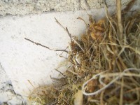 PIC_0195.JPG