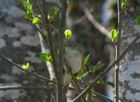 IMG_1359.JPG