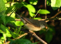 IMG_4627.JPG