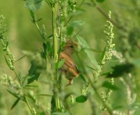 IMG_7224.JPG