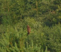 IMG_7543.JPG