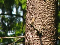 IMG_7643.JPG