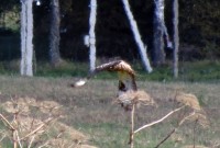 IMG_5404.jpg