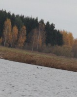 IMG_8433.jpg